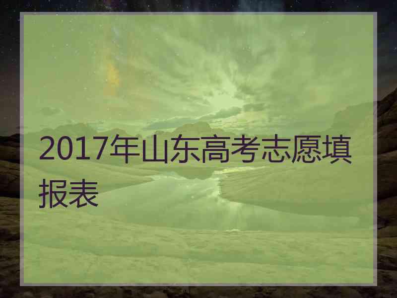 2017年山东高考志愿填报表