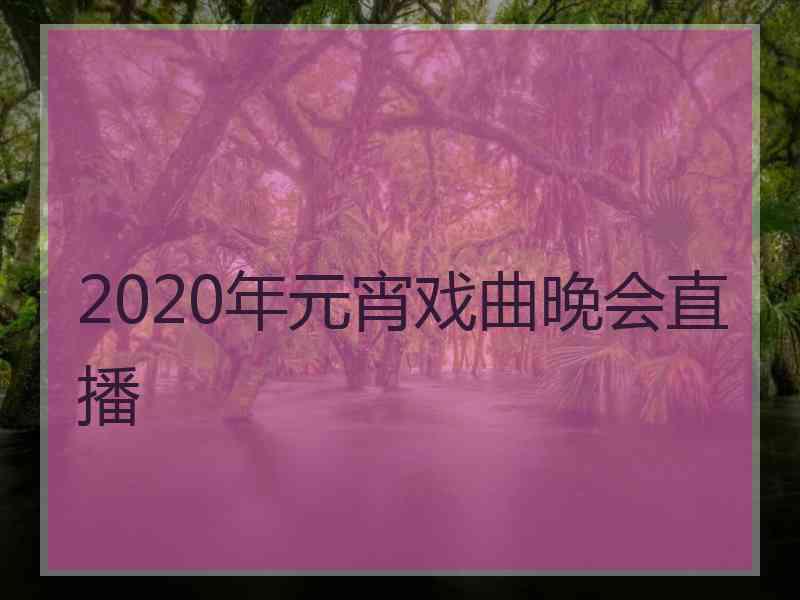 2020年元宵戏曲晚会直播