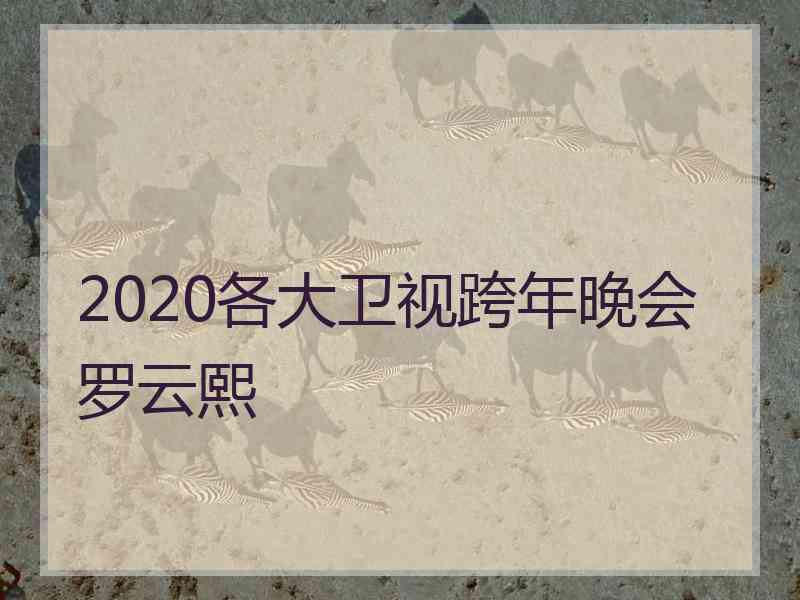 2020各大卫视跨年晚会罗云熙