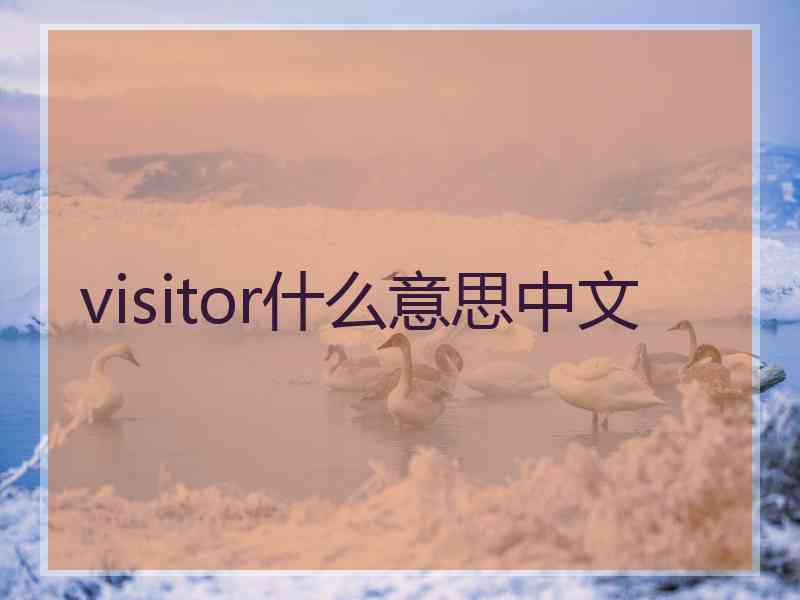 visitor什么意思中文