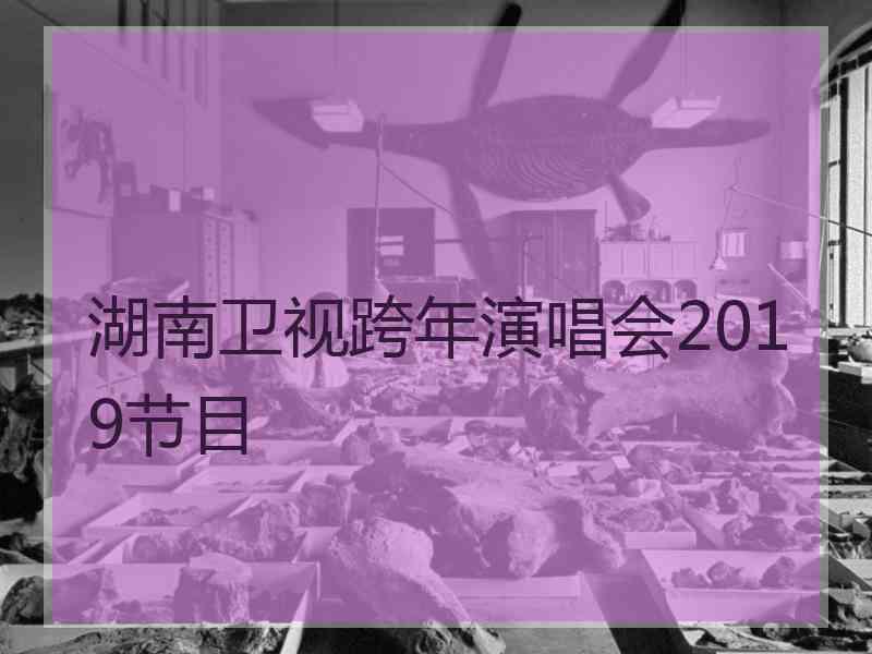 湖南卫视跨年演唱会2019节目