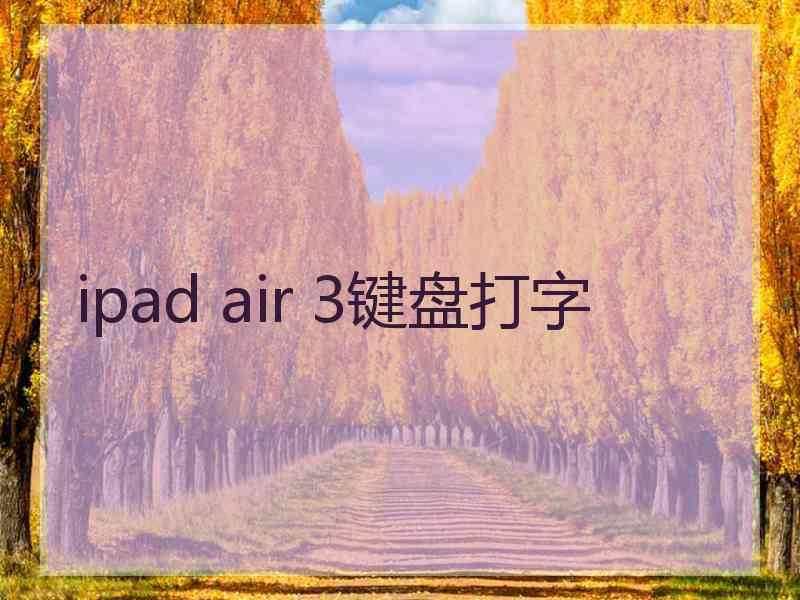 ipad air 3键盘打字