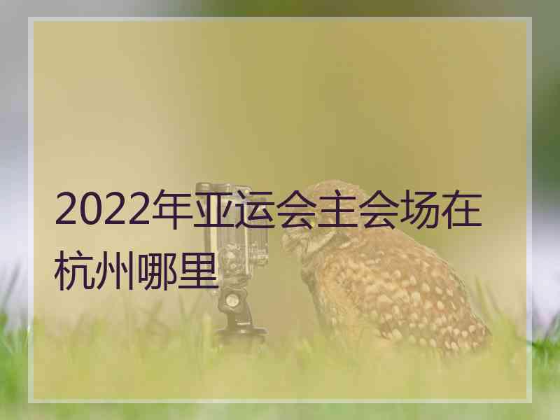 2022年亚运会主会场在杭州哪里