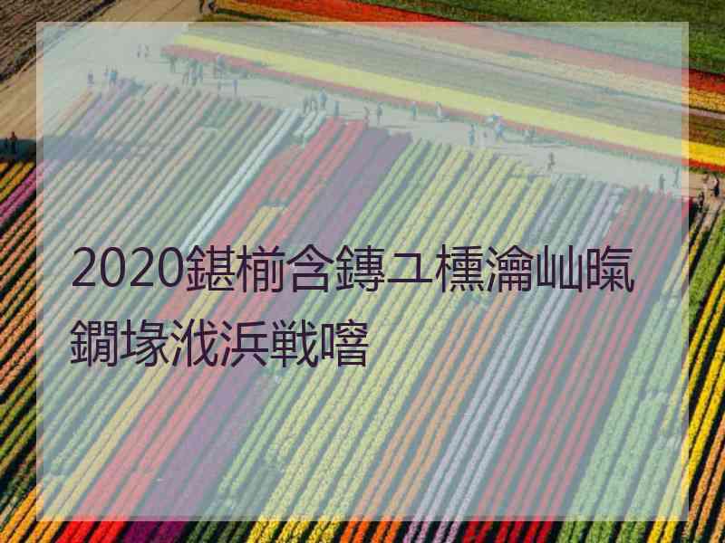 2020鍖椾含鏄ユ櫄瀹屾暣鐗堟浌浜戦噾