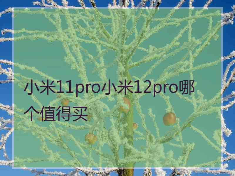 小米11pro小米12pro哪个值得买