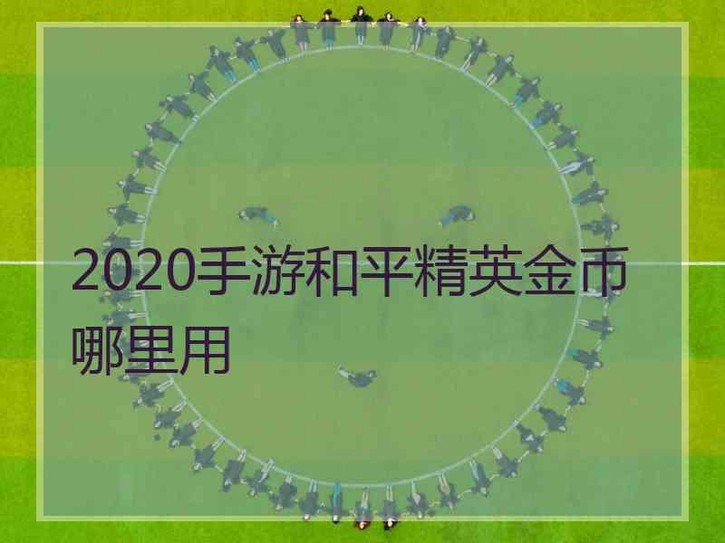 2020手游和平精英金币哪里用