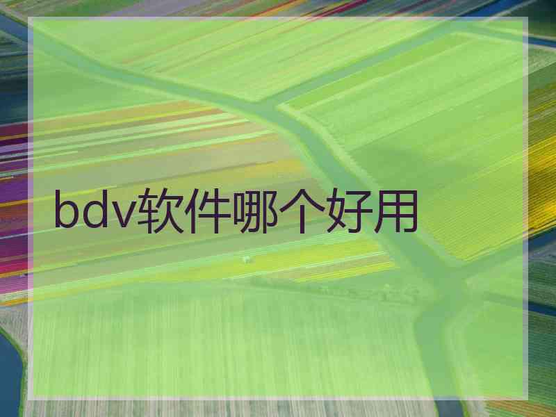 bdv软件哪个好用