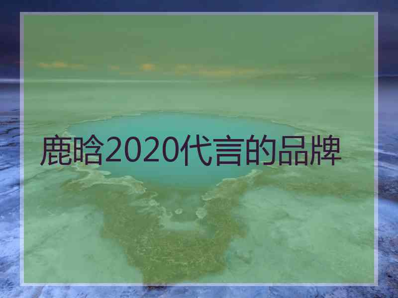 鹿晗2020代言的品牌