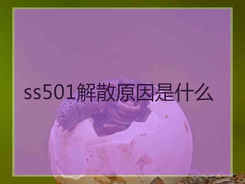 ss501解散原因是什么