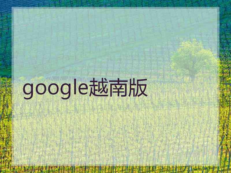 google越南版