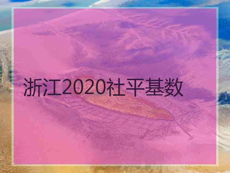 浙江2020社平基数