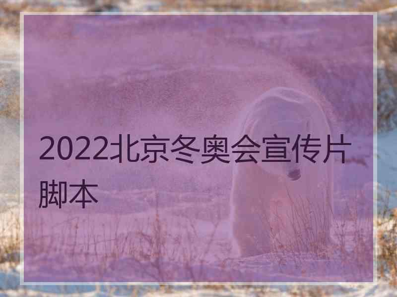 2022北京冬奥会宣传片脚本