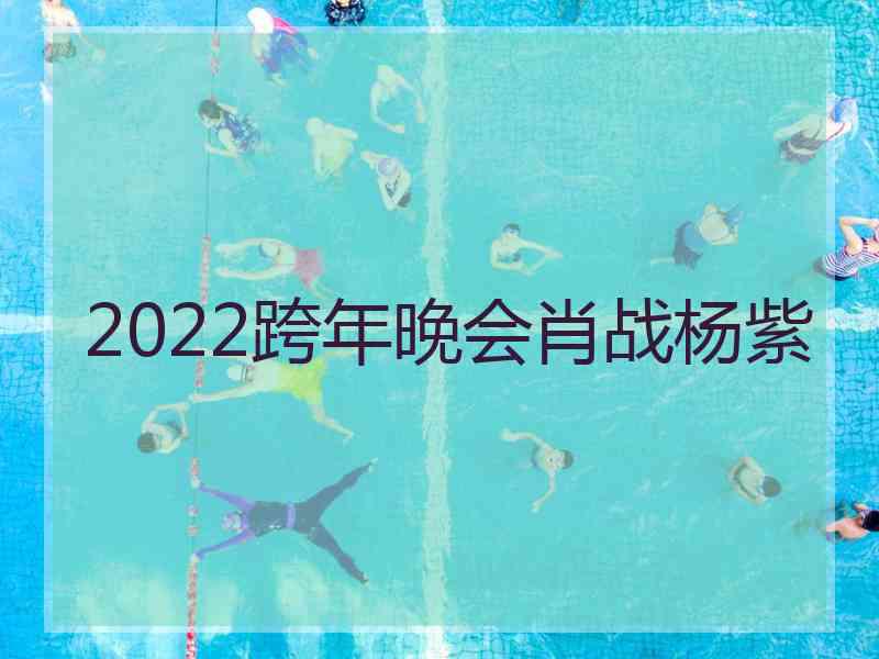 2022跨年晚会肖战杨紫