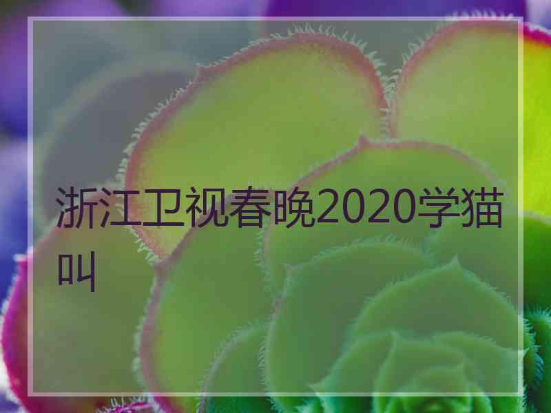 浙江卫视春晚2020学猫叫