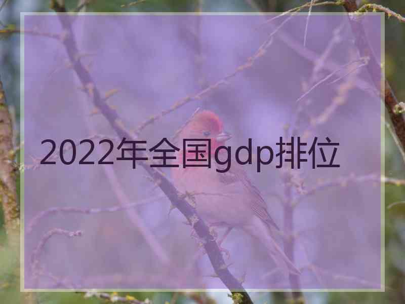 2022年全国gdp排位