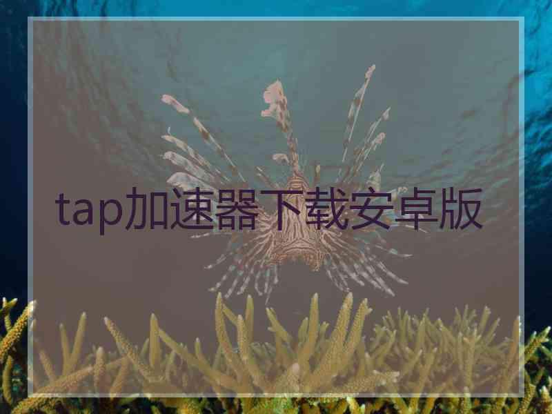 tap加速器下载安卓版