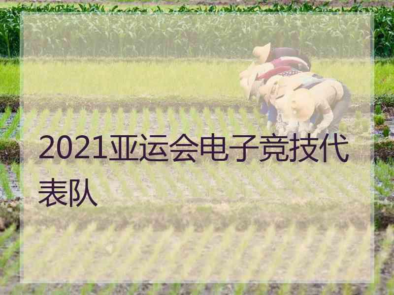 2021亚运会电子竞技代表队