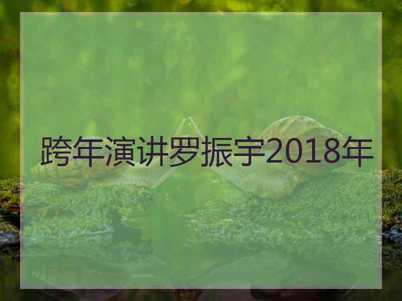 跨年演讲罗振宇2018年