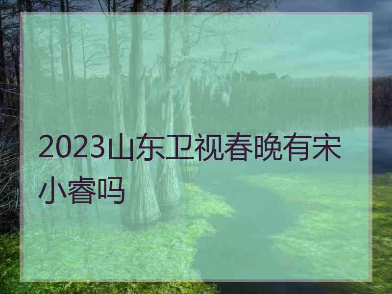 2023山东卫视春晚有宋小睿吗