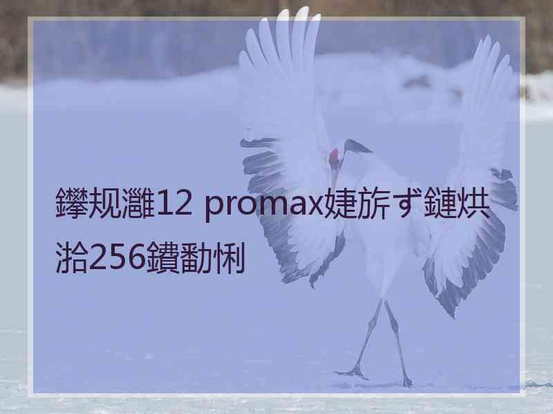 鑻规灉12 promax婕旂ず鏈烘湁256鐨勫悧