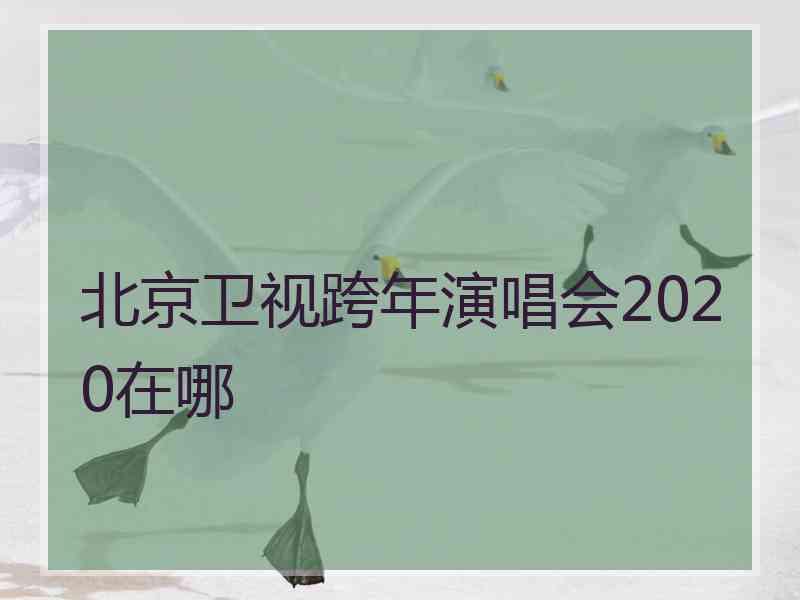 北京卫视跨年演唱会2020在哪