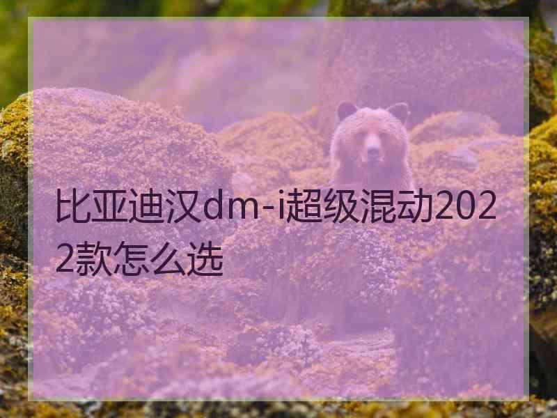 比亚迪汉dm-i超级混动2022款怎么选