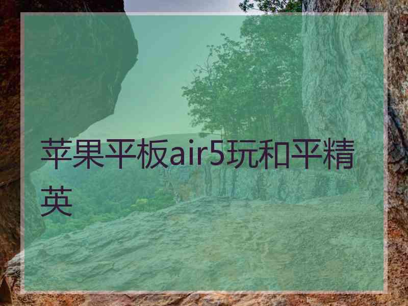 苹果平板air5玩和平精英