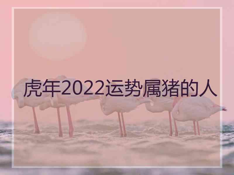 虎年2022运势属猪的人