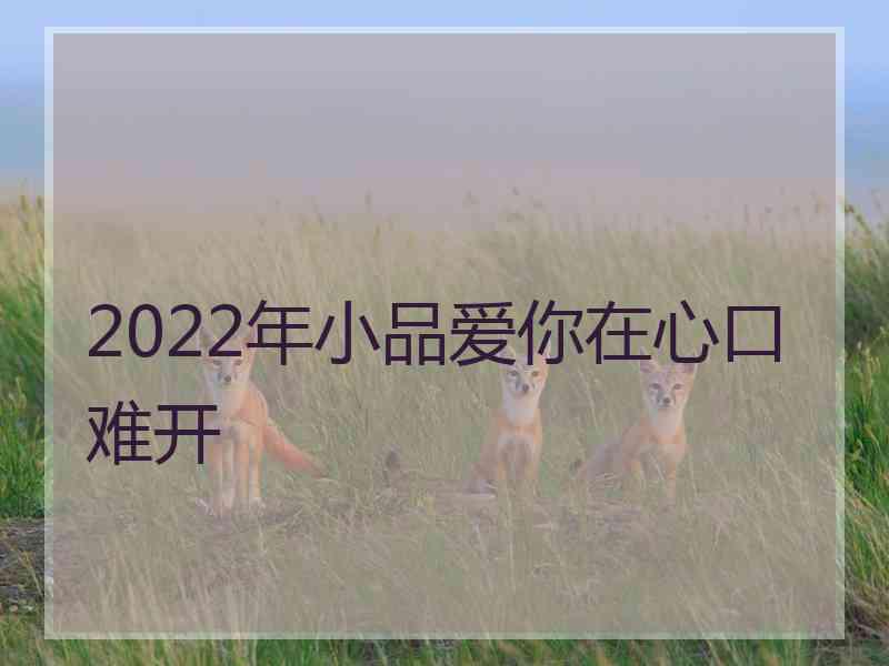 2022年小品爱你在心口难开