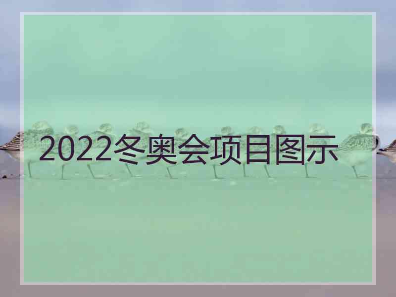 2022冬奥会项目图示