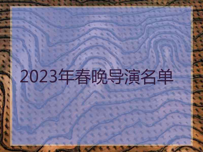 2023年春晚导演名单