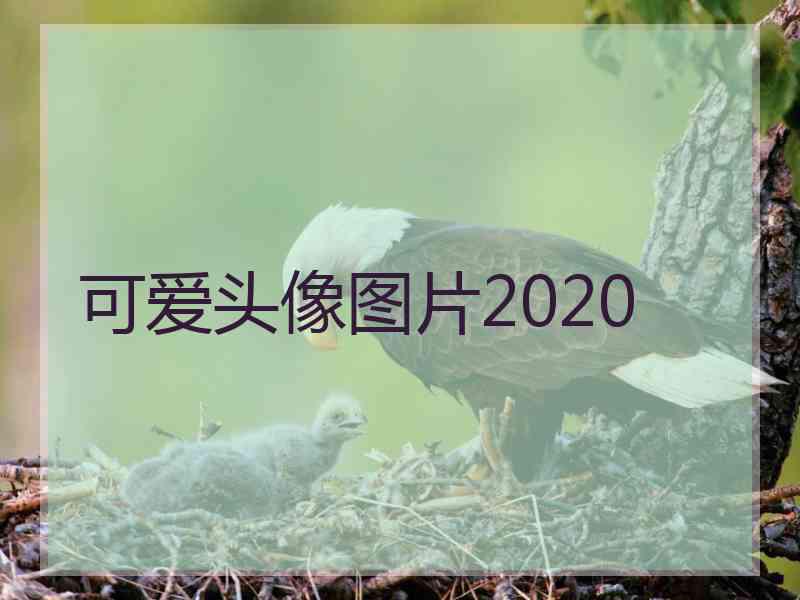 可爱头像图片2020