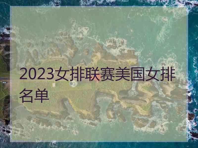 2023女排联赛美国女排名单