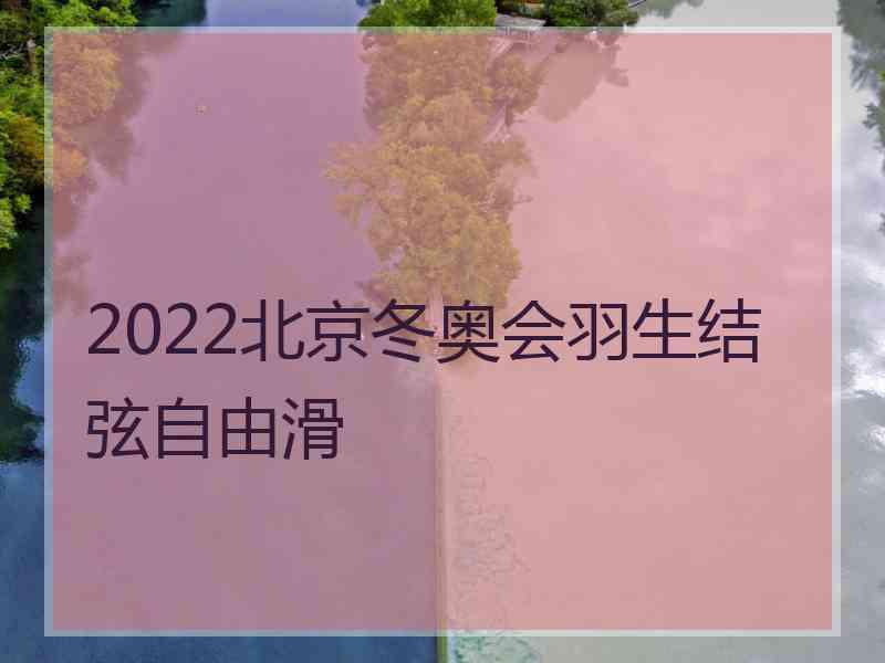 2022北京冬奥会羽生结弦自由滑