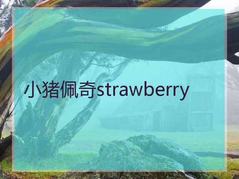 小猪佩奇strawberry