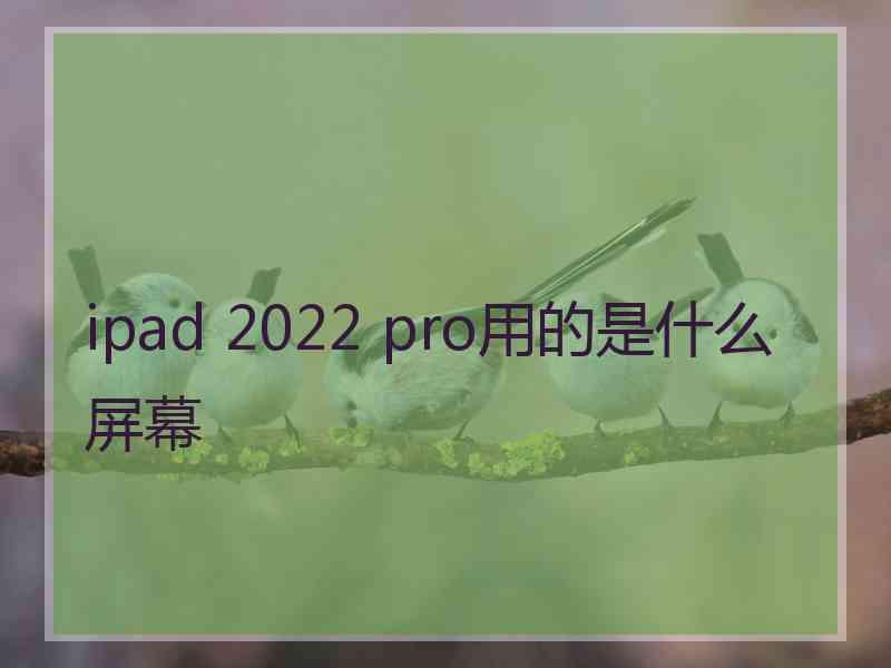 ipad 2022 pro用的是什么屏幕