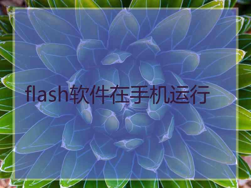 flash软件在手机运行