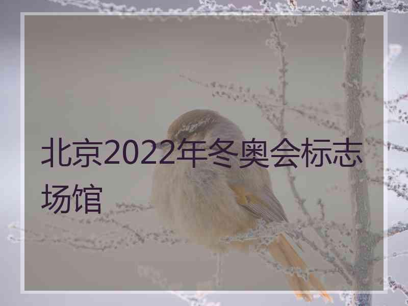 北京2022年冬奥会标志场馆