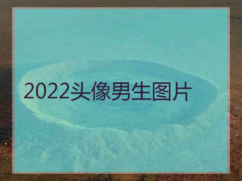 2022头像男生图片