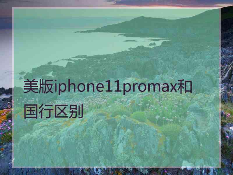 美版iphone11promax和国行区别