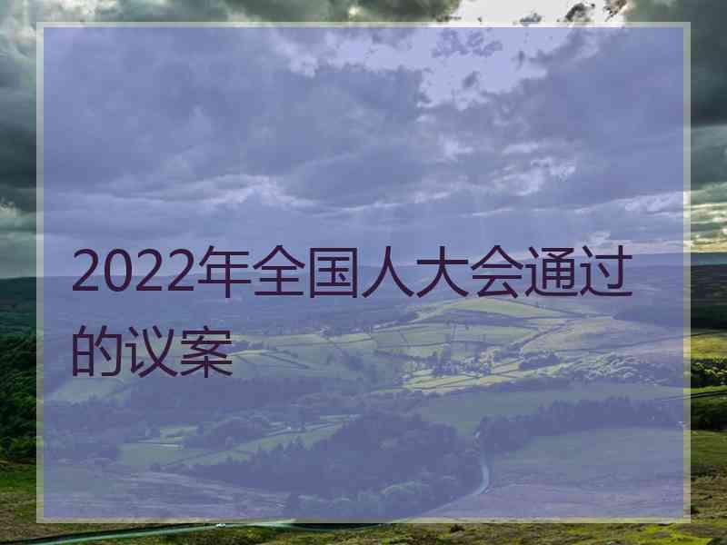 2022年全国人大会通过的议案