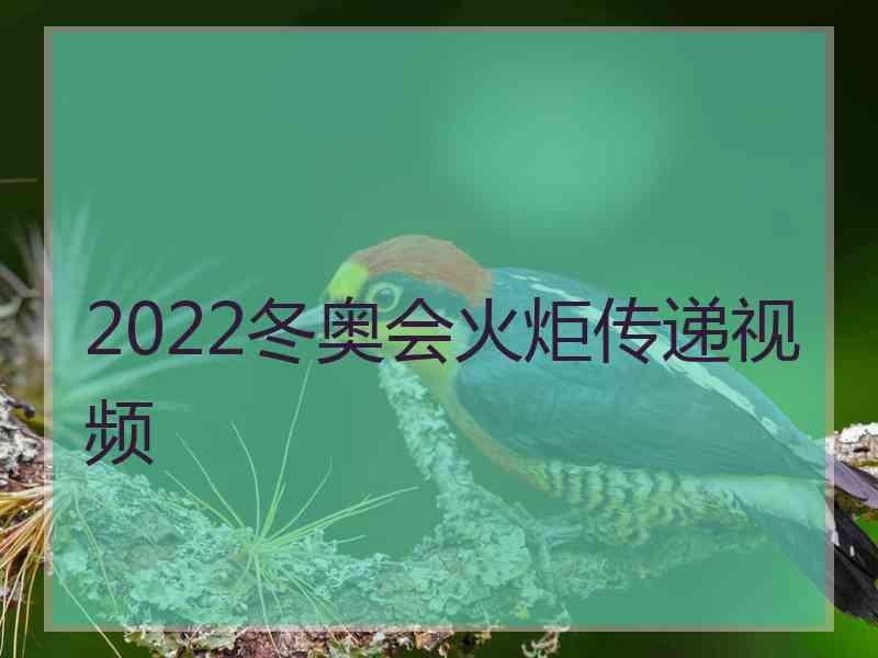 2022冬奥会火炬传递视频