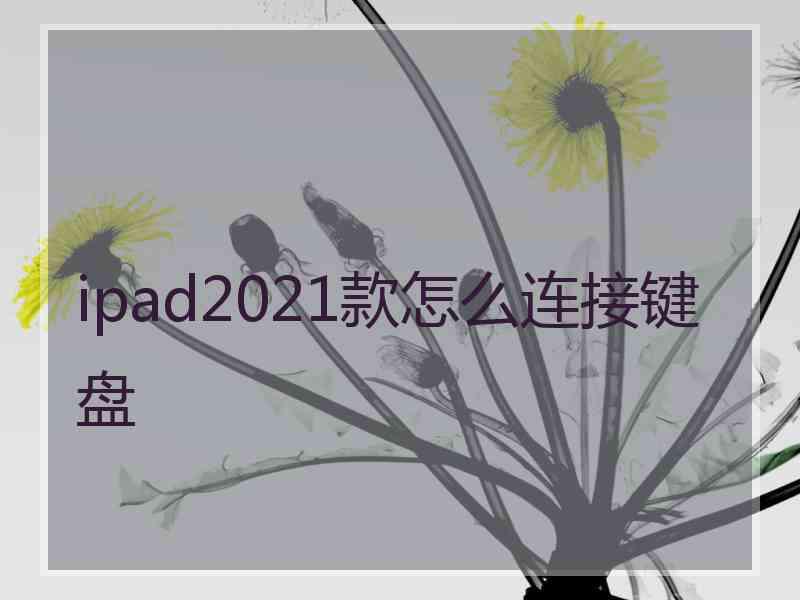 ipad2021款怎么连接键盘