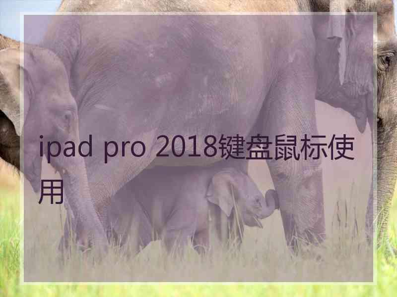 ipad pro 2018键盘鼠标使用