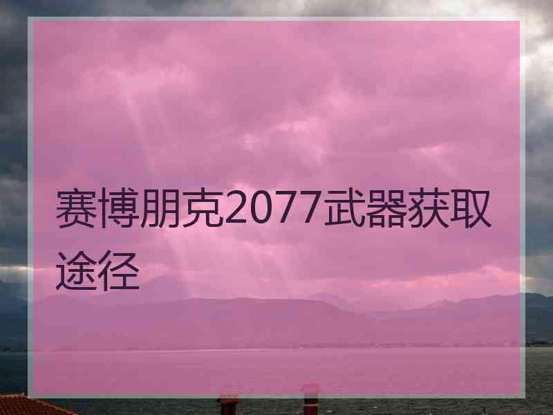 赛博朋克2077武器获取途径