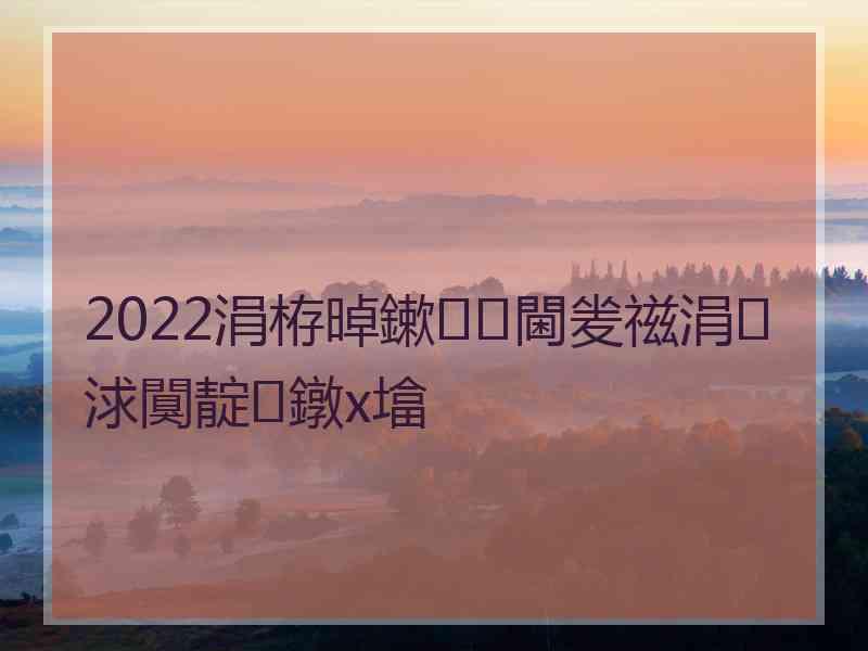 2022涓栫晫鏉閫夎禌涓浗闃靛鐓х墖