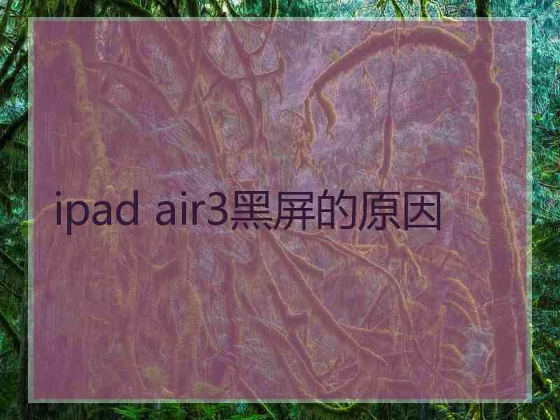 ipad air3黑屏的原因