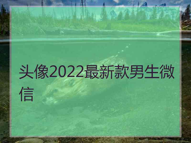 头像2022最新款男生微信