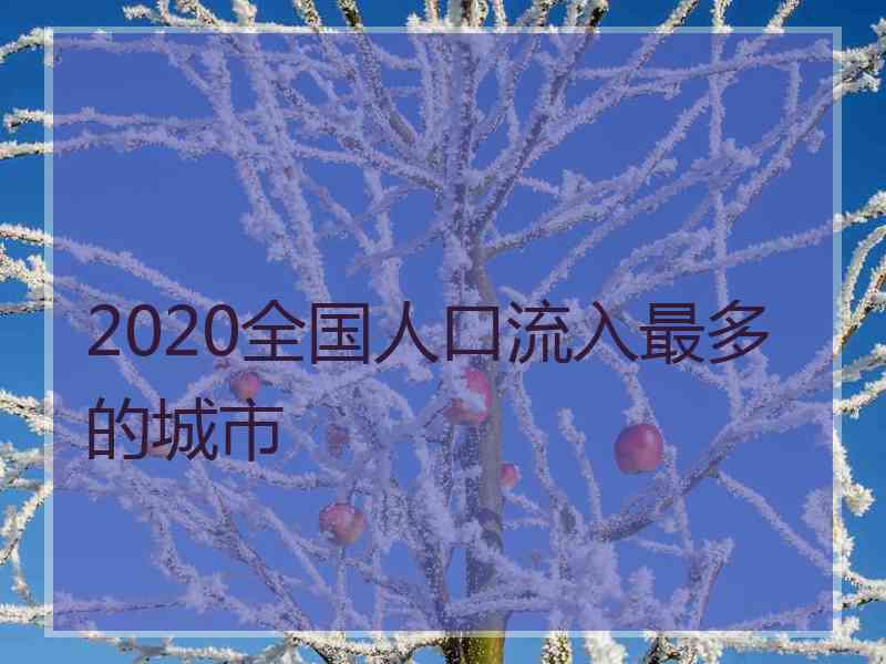 2020全国人口流入最多的城市