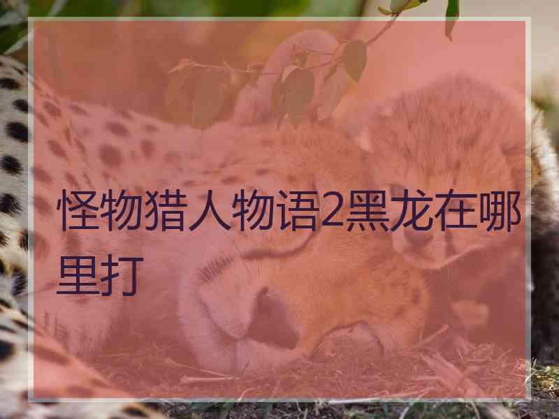 怪物猎人物语2黑龙在哪里打